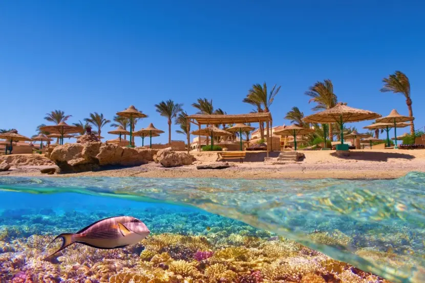 Cairo to Marsa Alam
